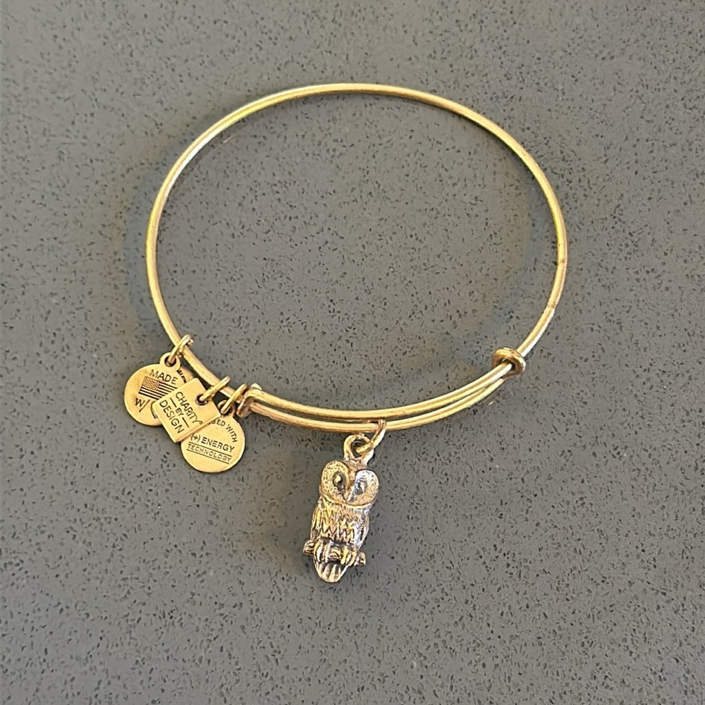 Alex and Ani OwlCharm Bracelet Gold Finish - Expands 2"- 3.5"